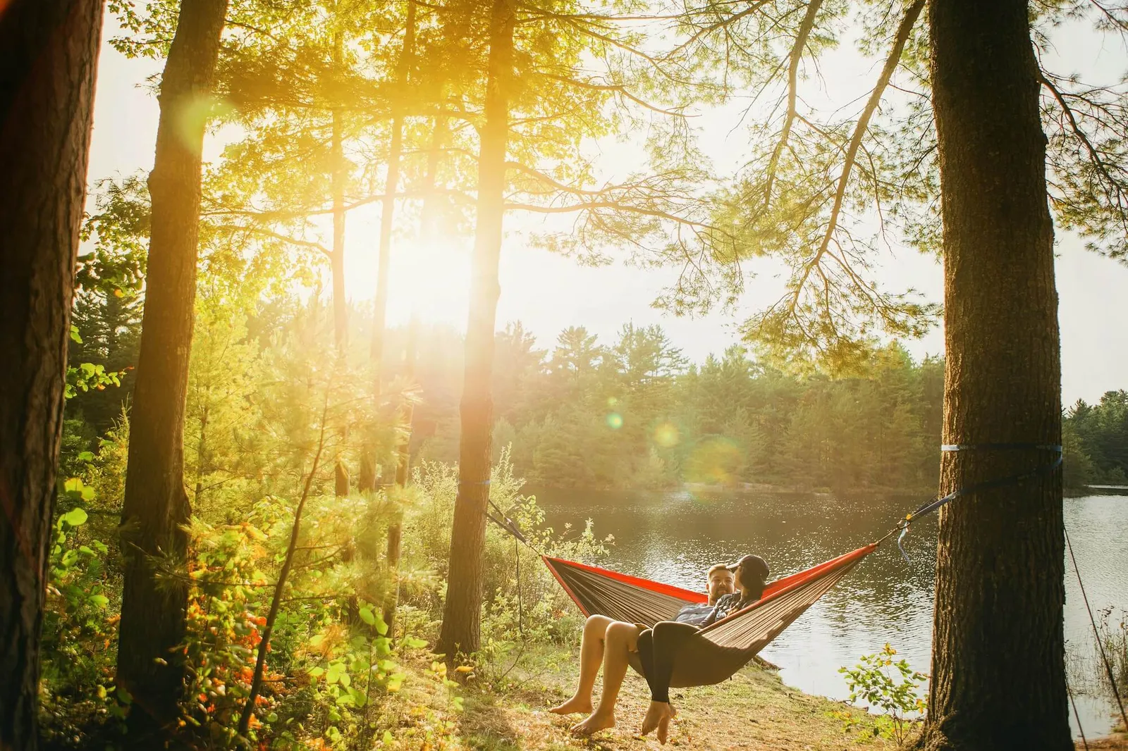 A hammock hung between trees in a forest at dusk